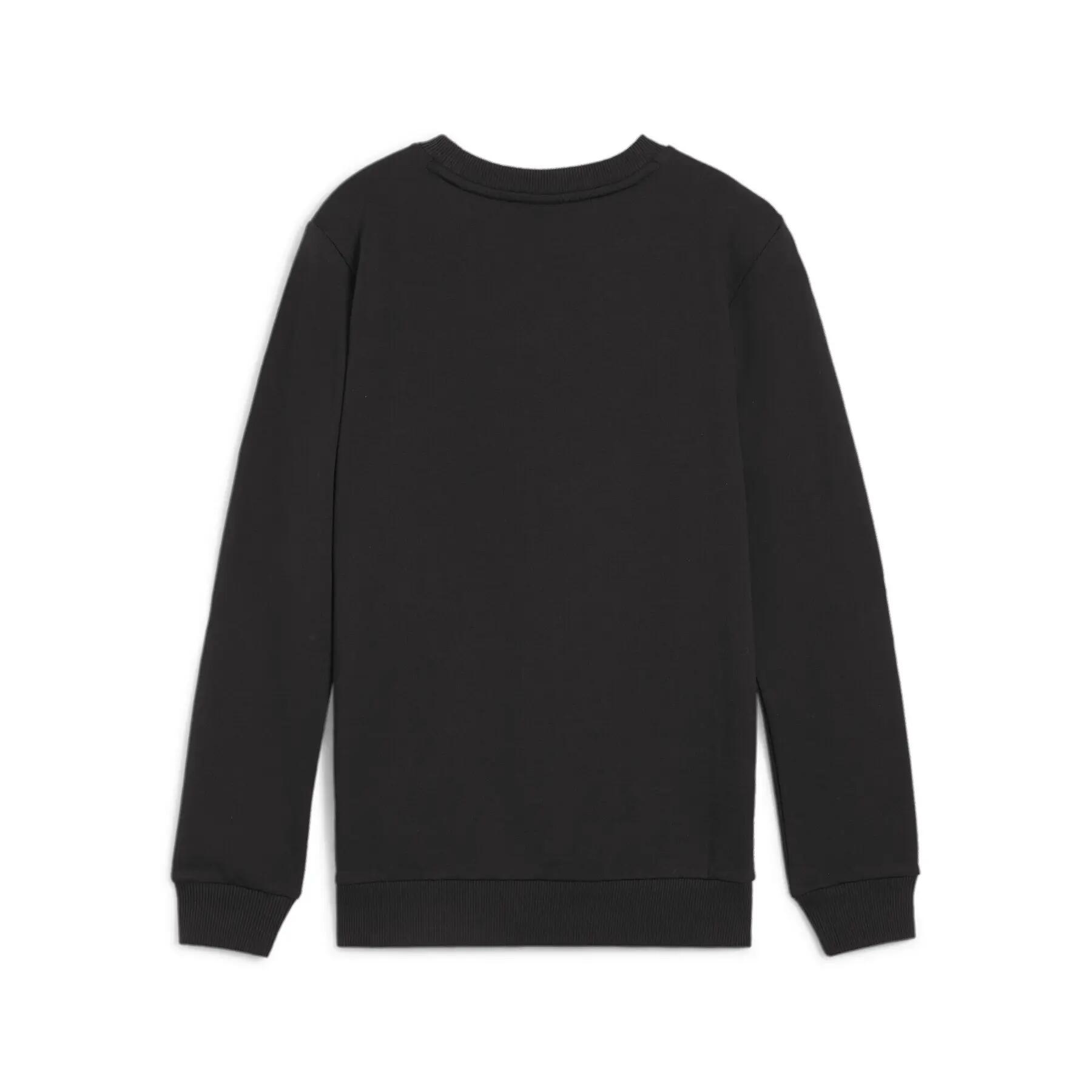 Sweatshirt enfant Puma teamGOAL Casuals 2/2