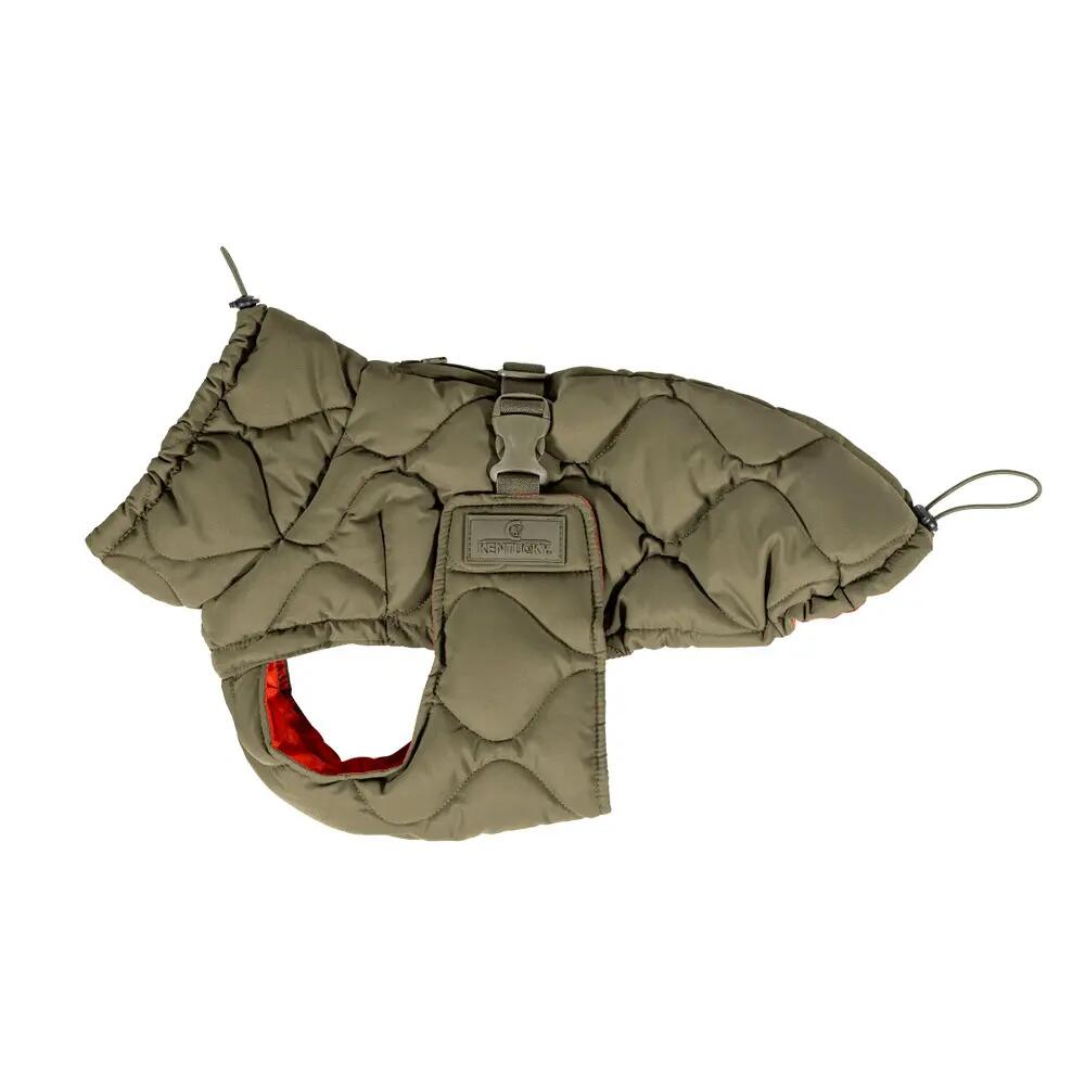 Dog coat Kentucky Pina 2/7