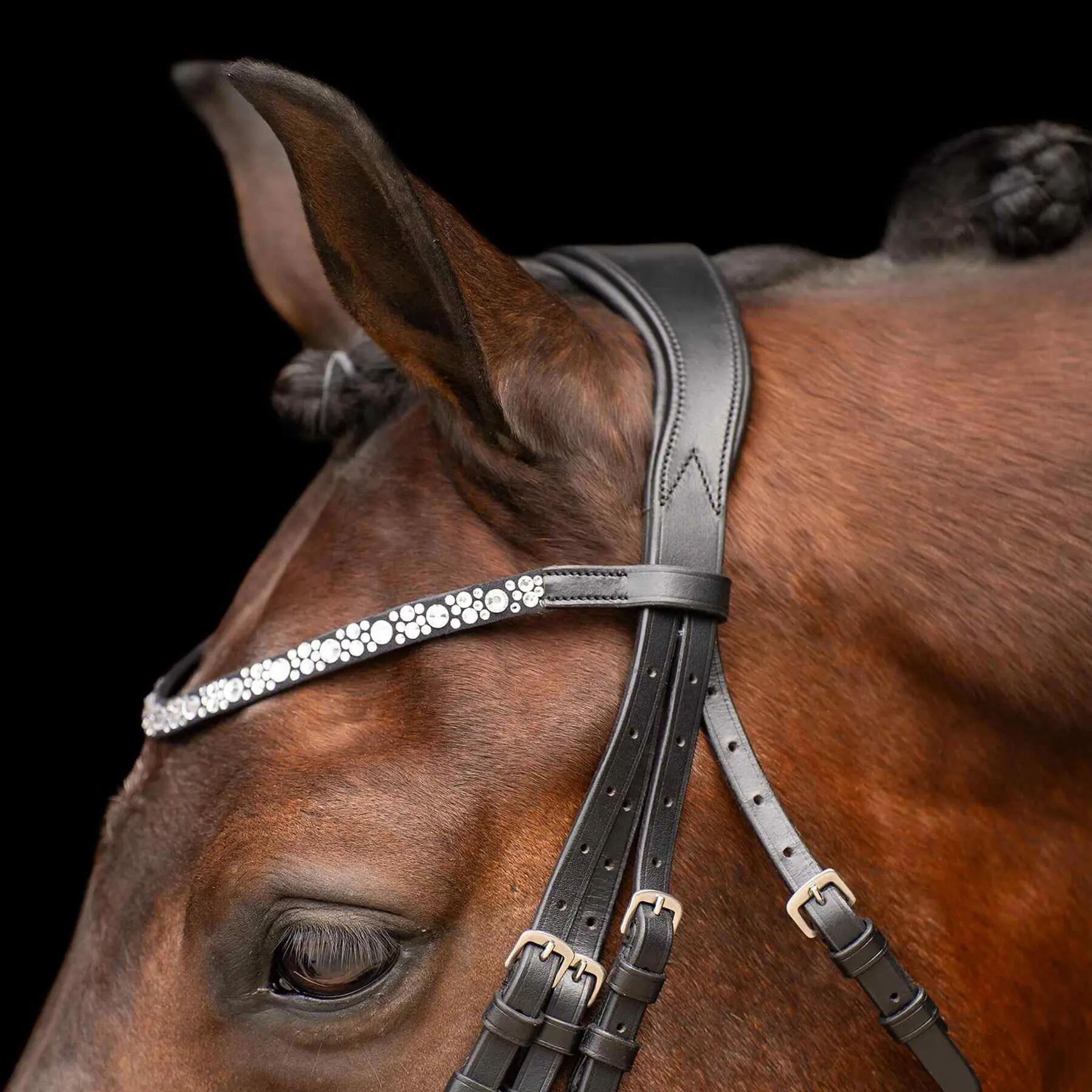 Bridas de montar Imperial Riding Olympia 2/3
