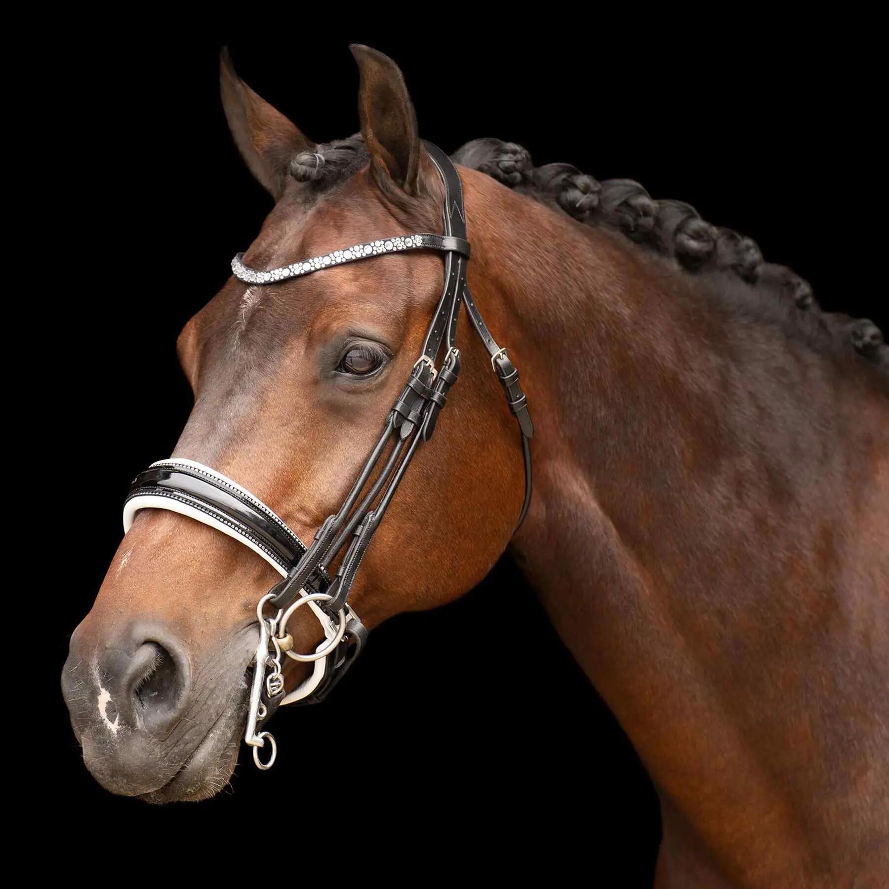 IMPERIAL RIDING picture