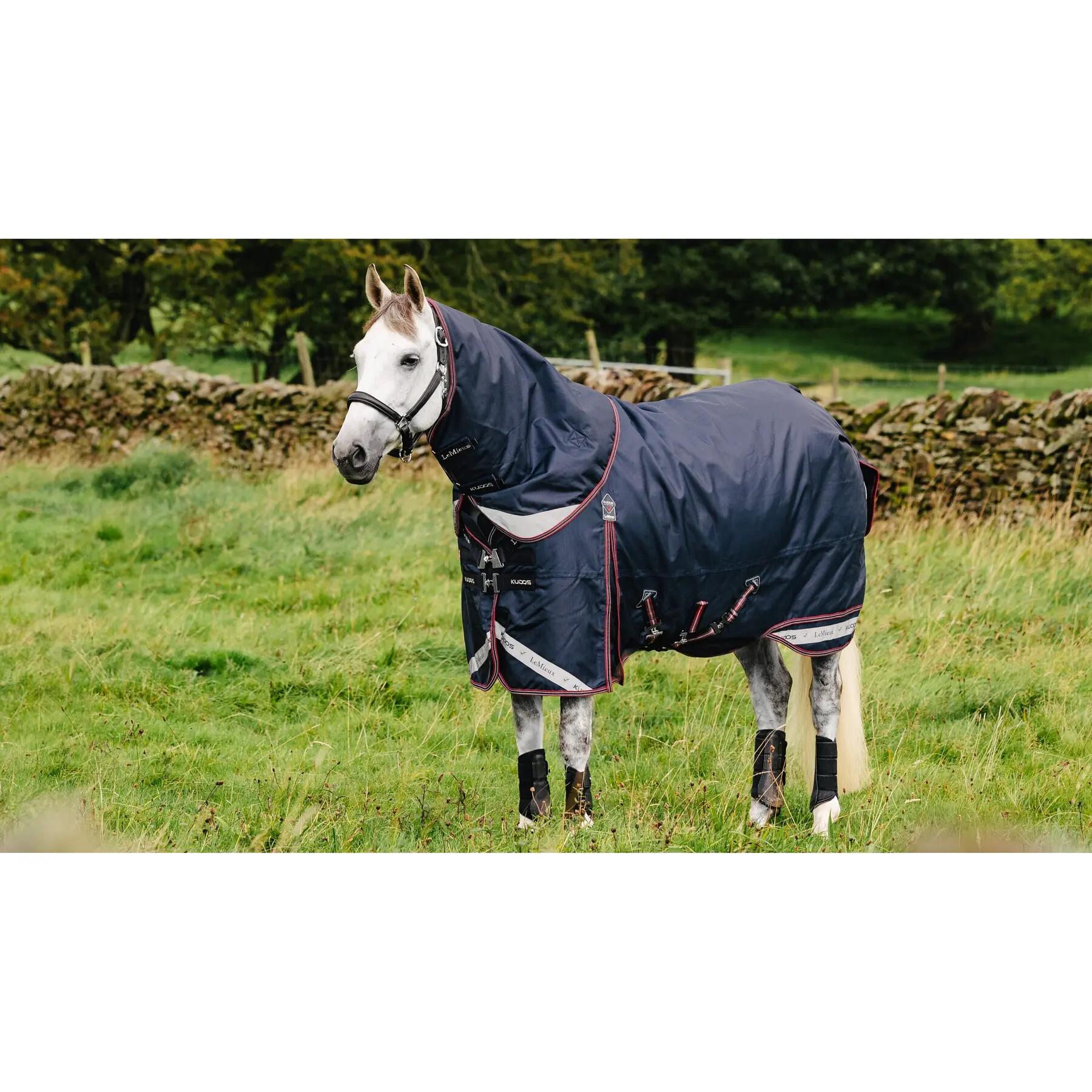 Outdoor paardendeken LeMieux Kudos 100g 3/7