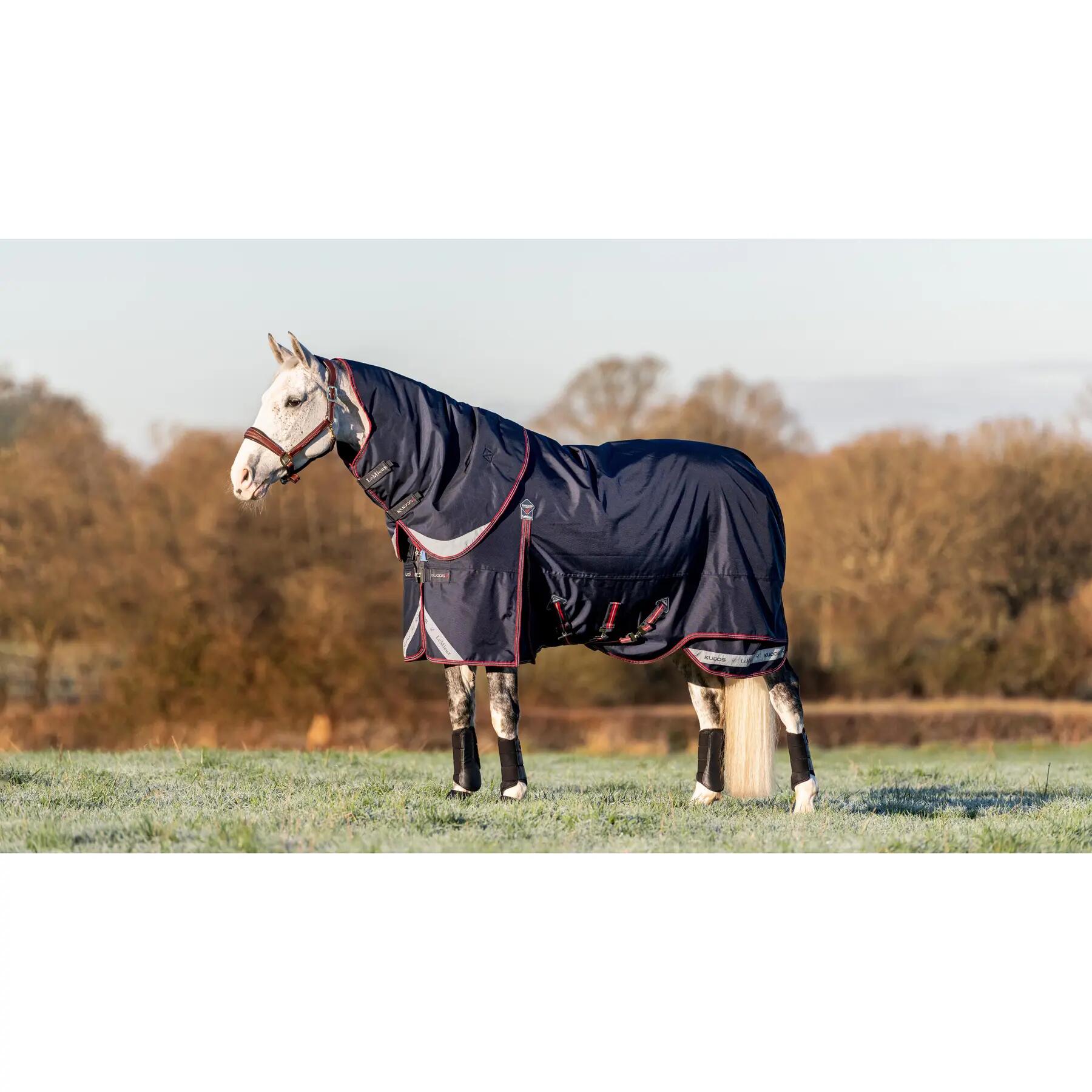 Outdoor paardendeken LeMieux Kudos 100g 2/7