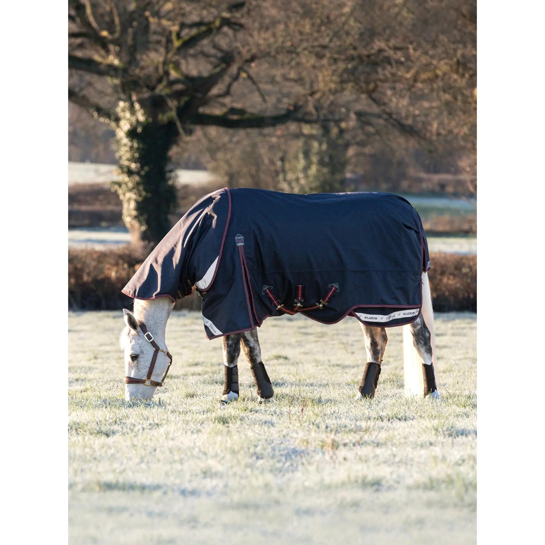 Outdoor paardendeken LeMieux Kudos 100g 5/7