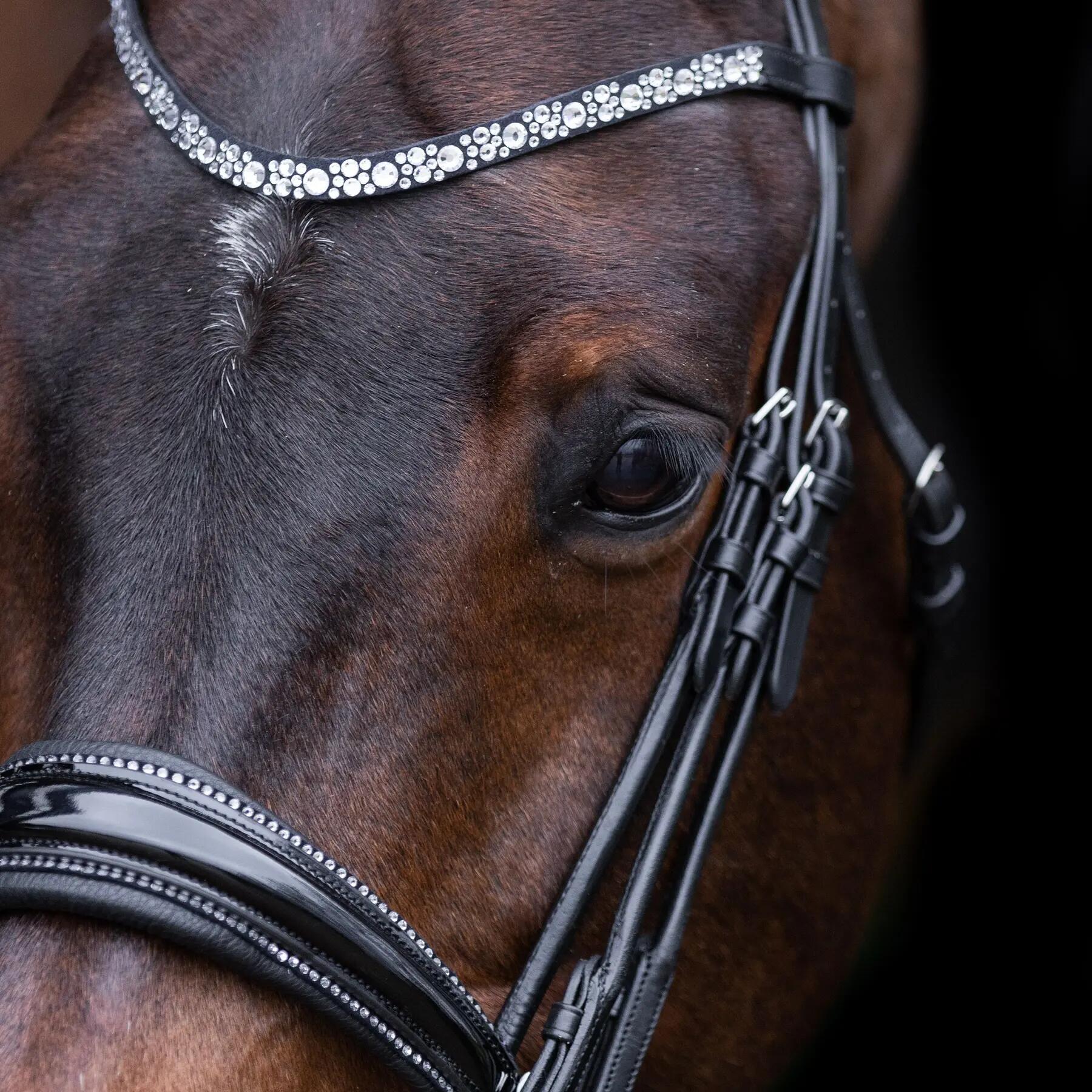 Briglie da equitazione Imperial Riding Olympia 2/2