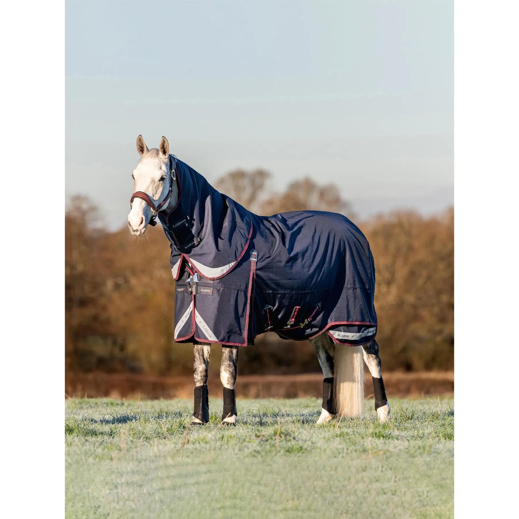 Outdoor paardendeken LeMieux Kudos 100g 4/7