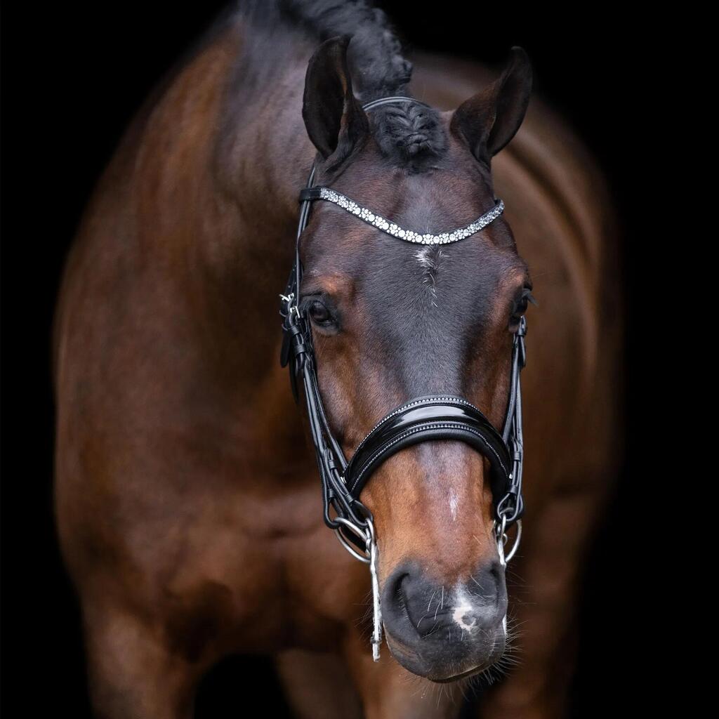 Bridles Imperial Riding Olympia