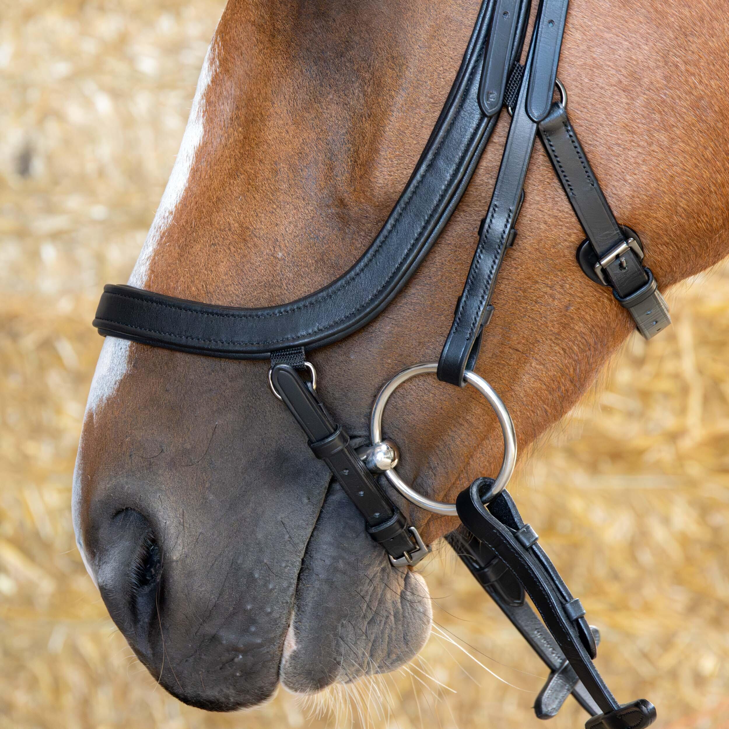 Bridoni per cavallo anatomici Harry's Horse 3/5