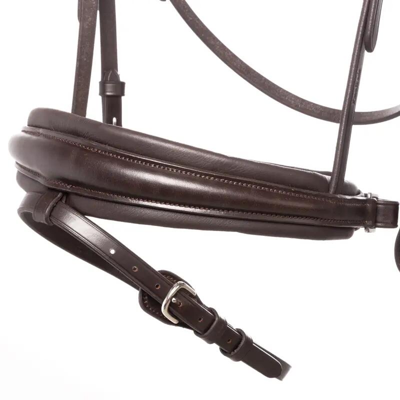 Bridones de equitación para caballo con flash Kavalkade Zor Crank Nb 4/5