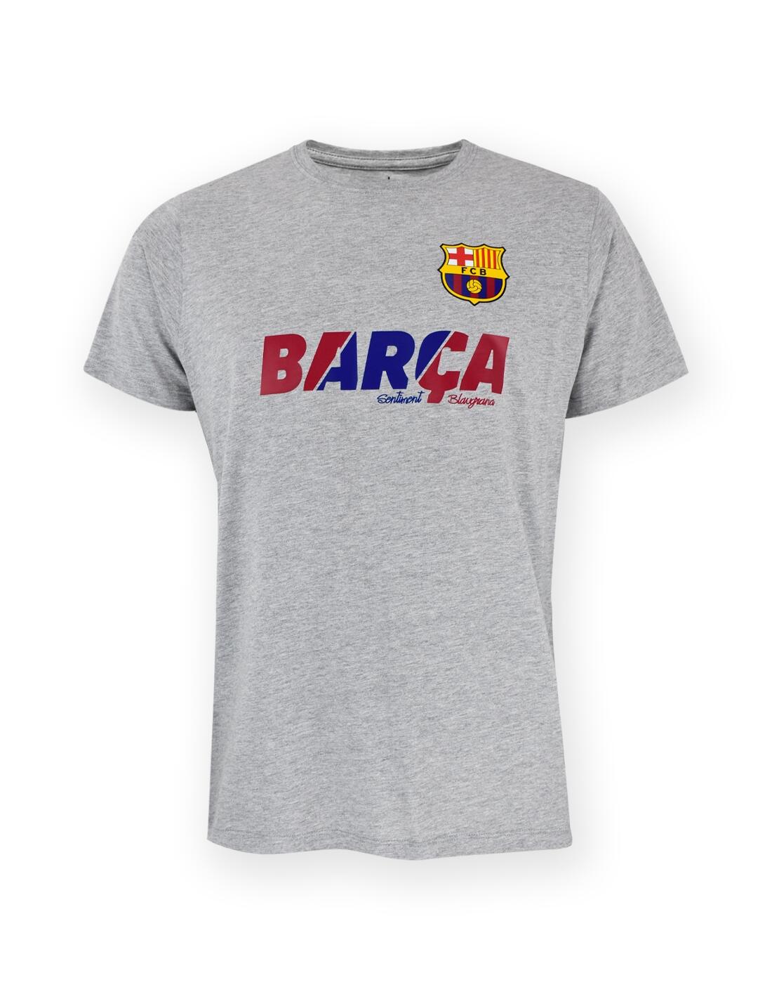 FC BARCELONA picture