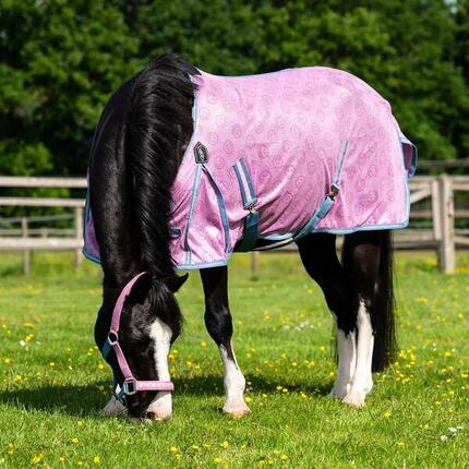 Chemise anti-mouches pour cheval QHP Rosalynn