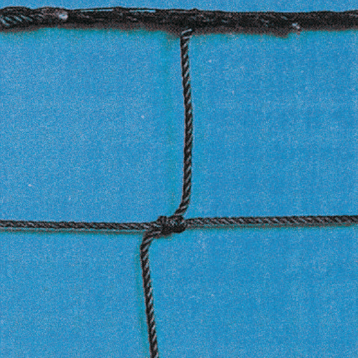 SPORTI FRANCE picture