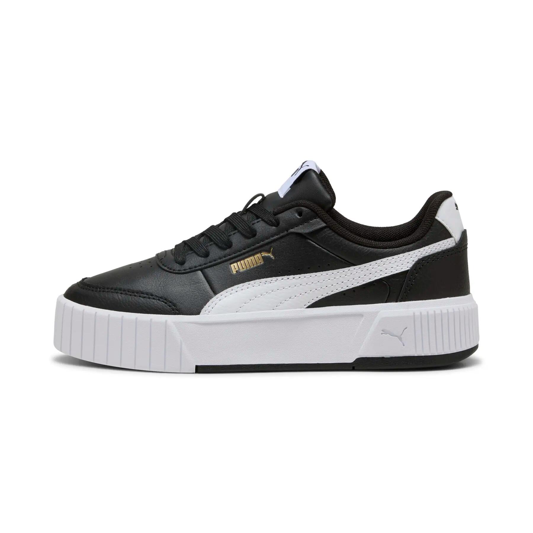 PUMA picture