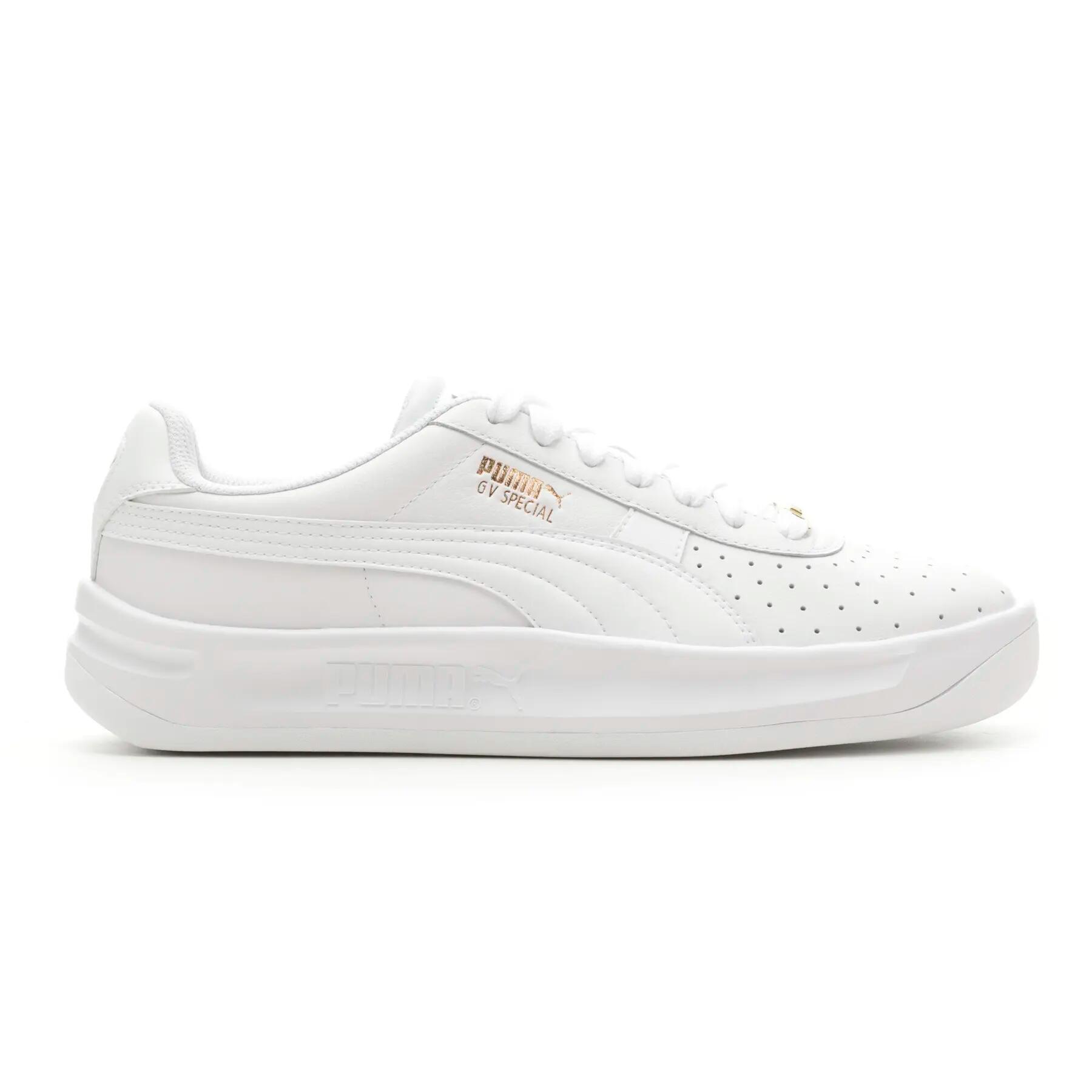 PUMA picture