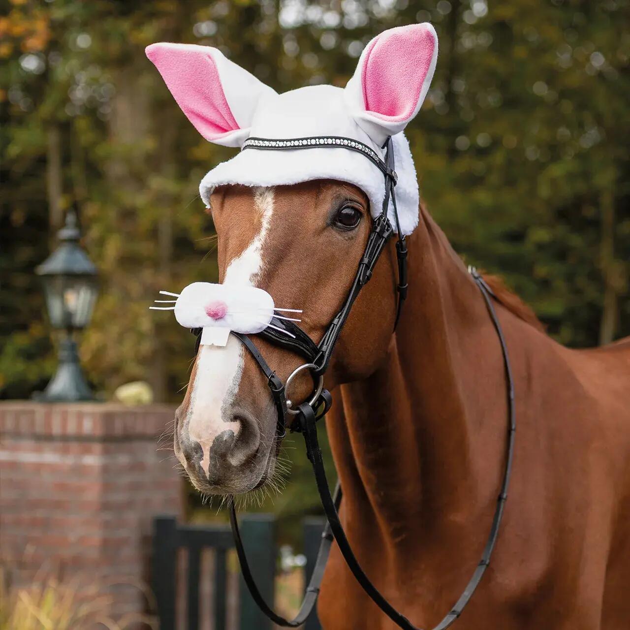 Cappello per cavallo con orecchie di coniglio di Pasqua QHP 2/3