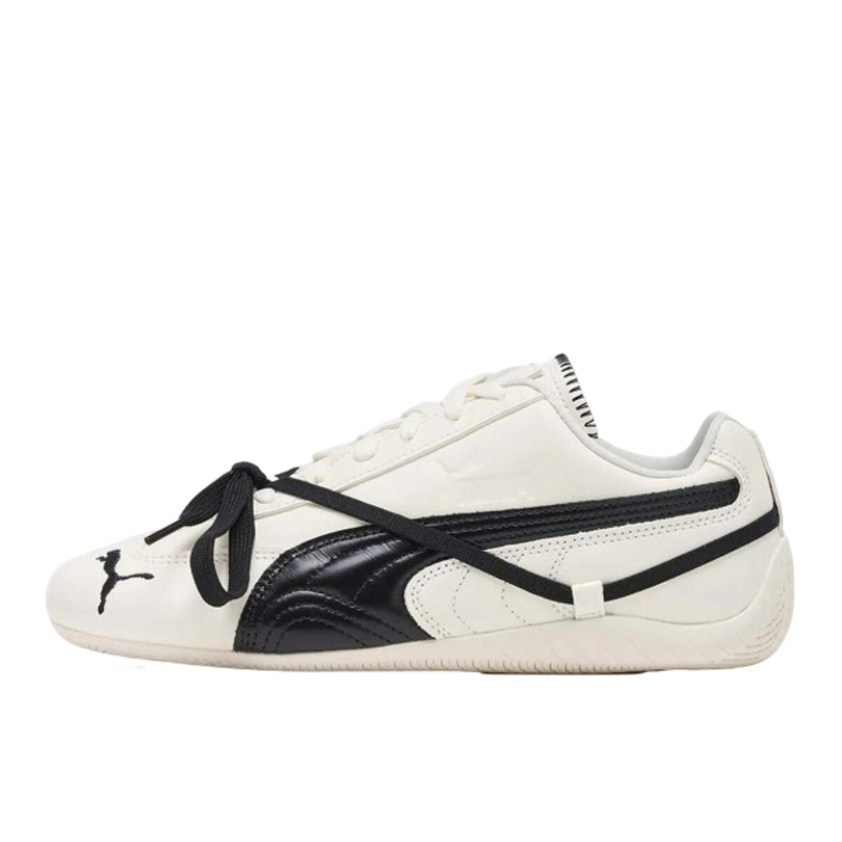 PUMA picture