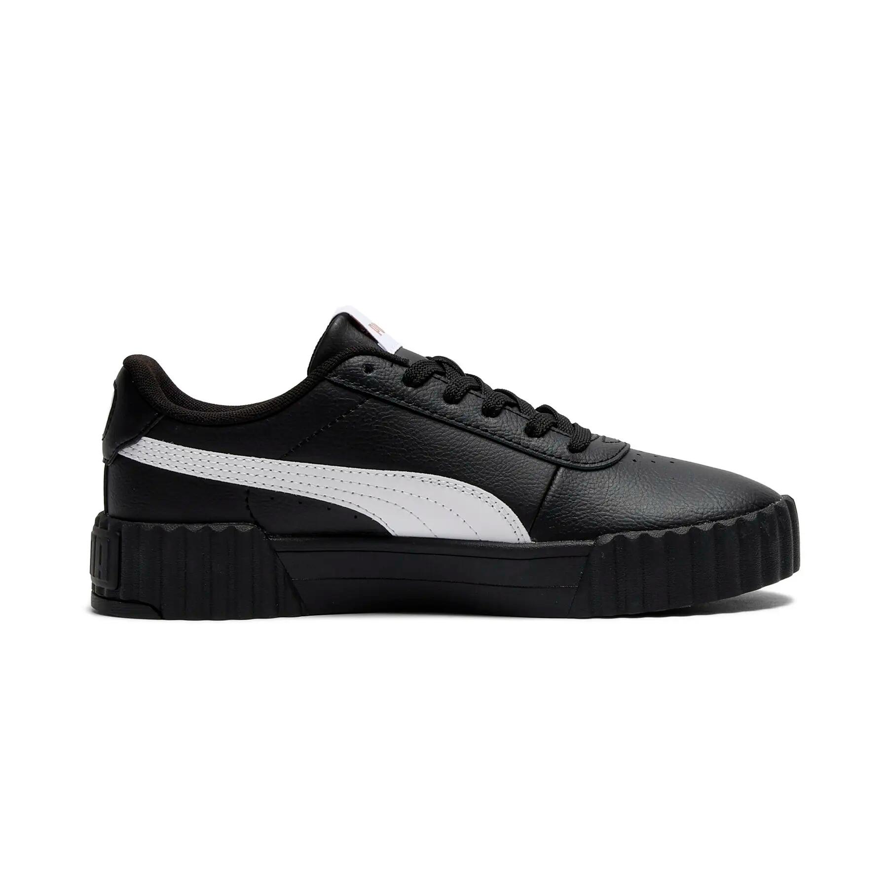 PUMA picture
