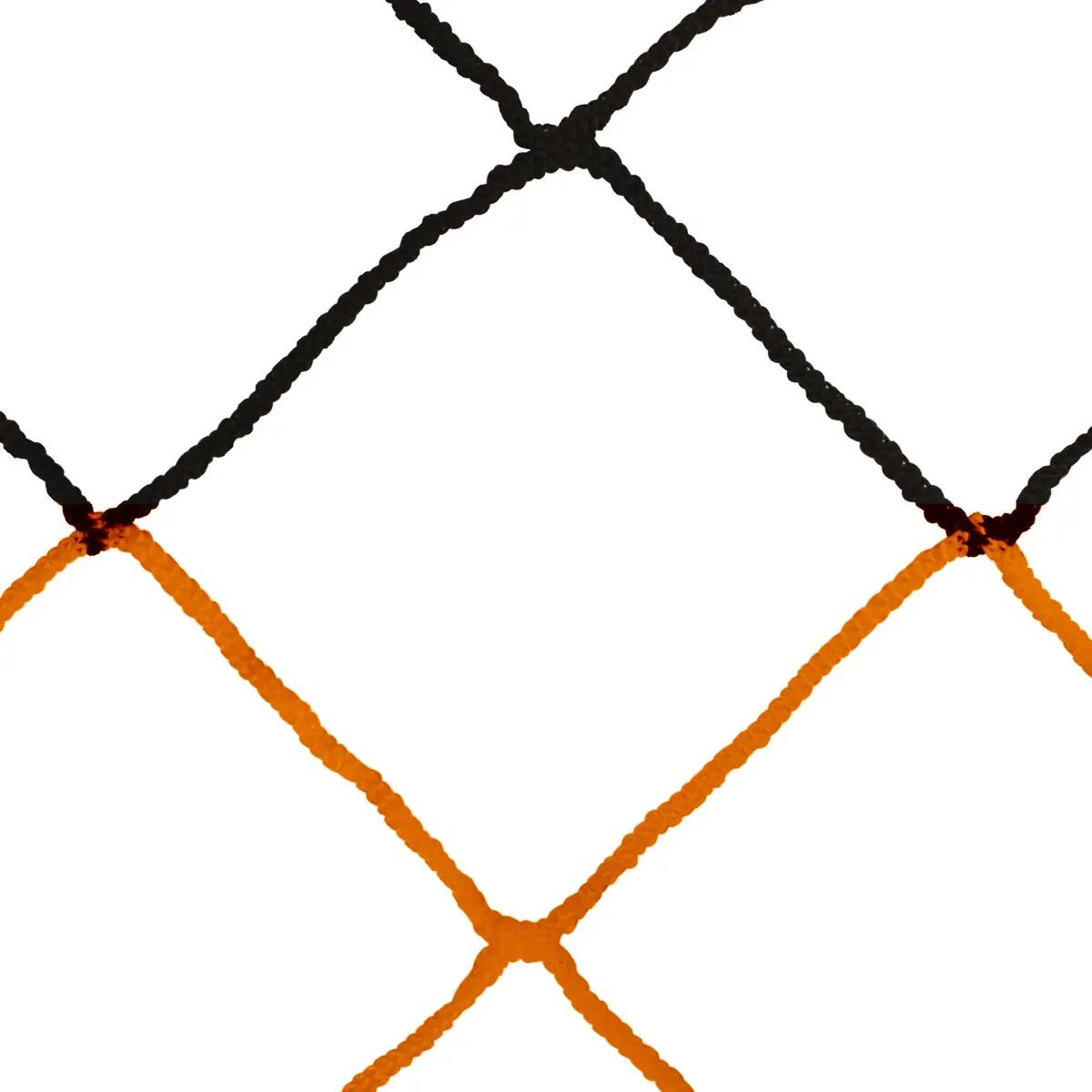 SPORTI FRANCE picture