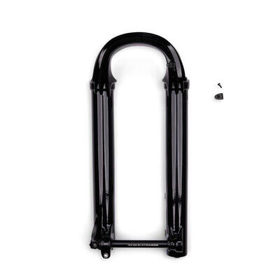 Cartuccia dell'ammortizzatore Fox Factory 2021 Fox 36 F-S PE-S Lower Leg Ass