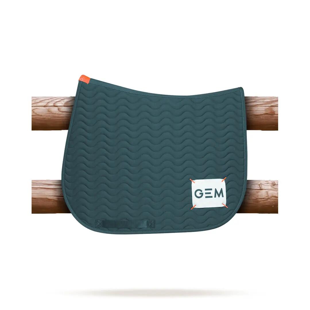 GEM EQUITATION picture