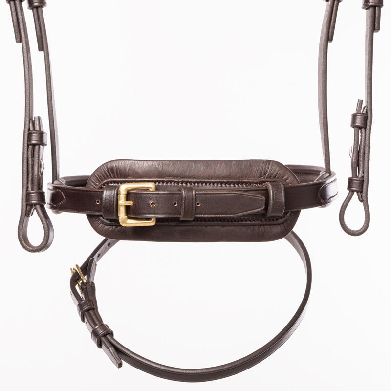 Bridon da equitazione per cavallo con flash Kavalkade Robin English Nb 3/5