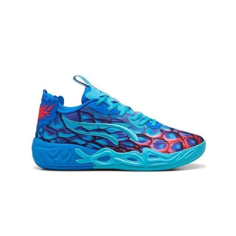 multicolore