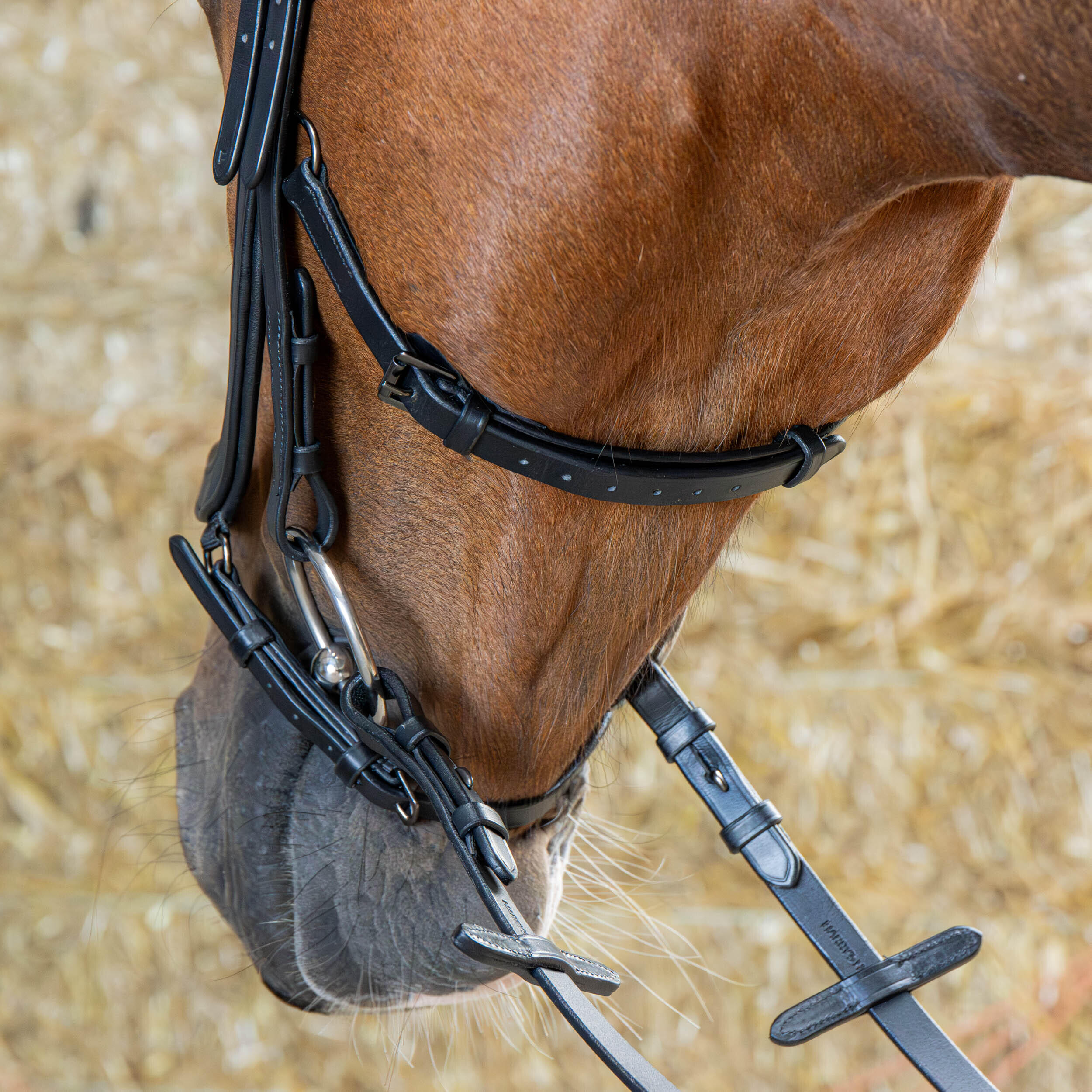 Bridoni per cavallo anatomici Harry's Horse 5/5