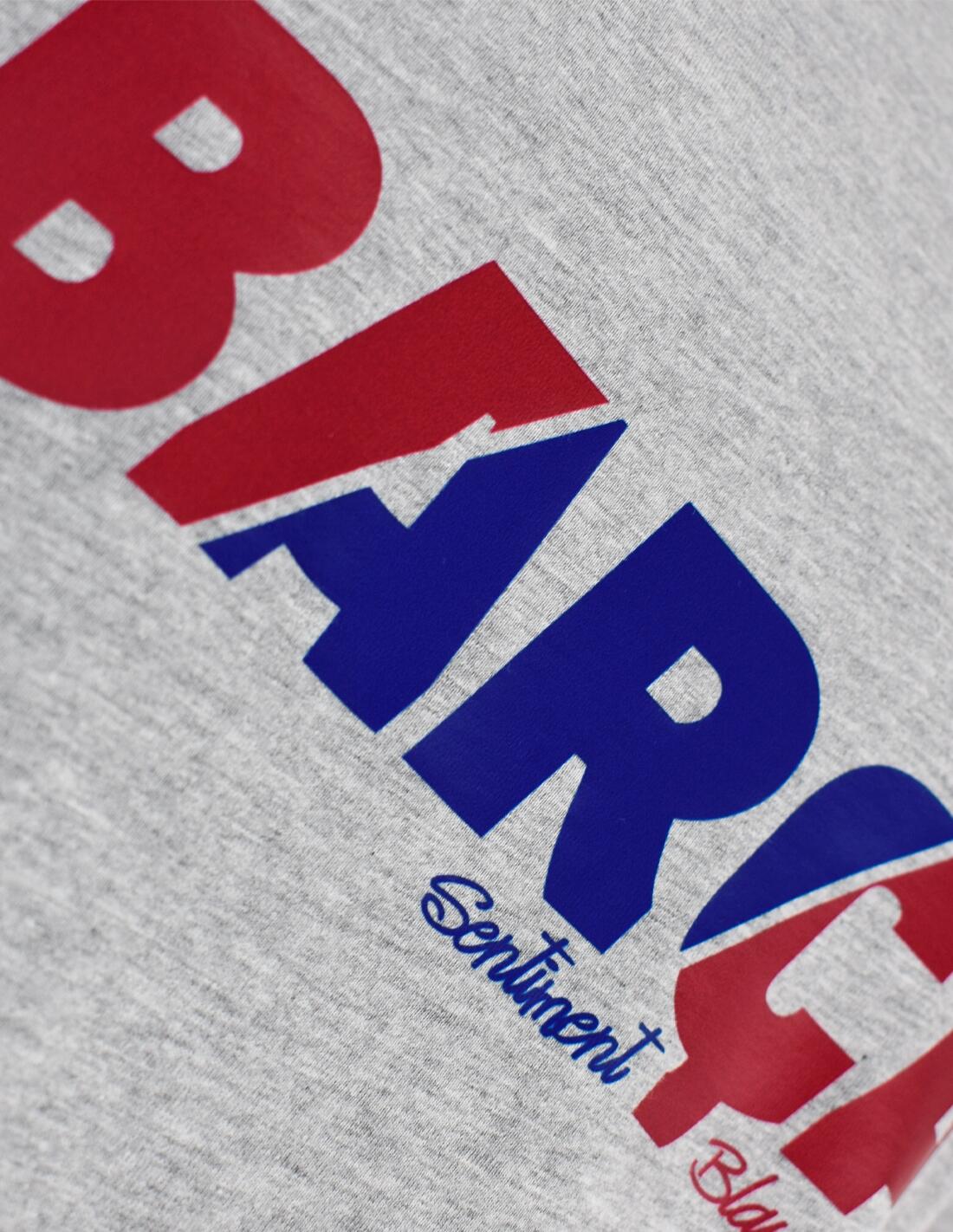 Camiseta FC Barcelona Sentiment Blaugrana Gris - Júnior 3/3
