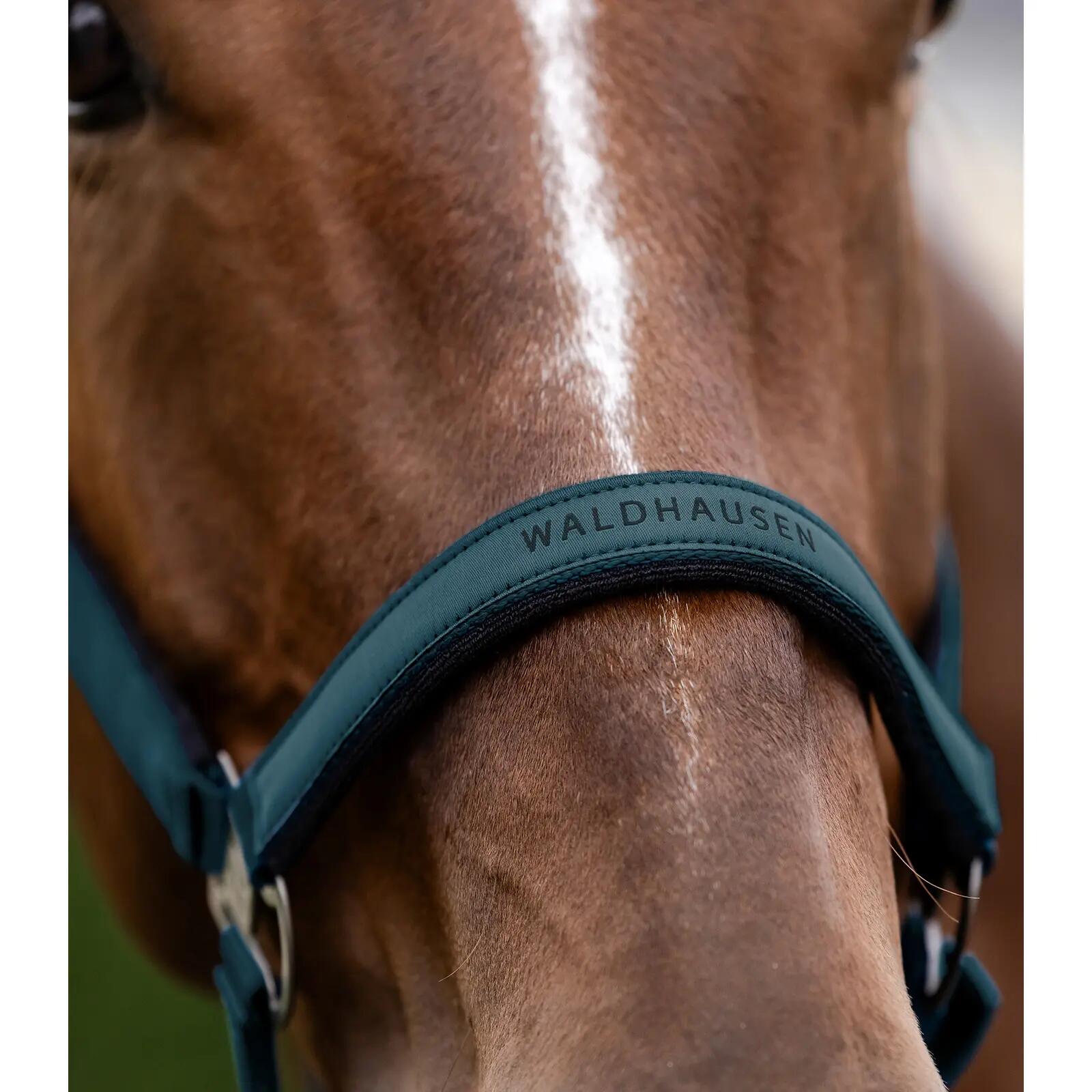 Licol pour cheval Waldhausen Atheltic 3/3