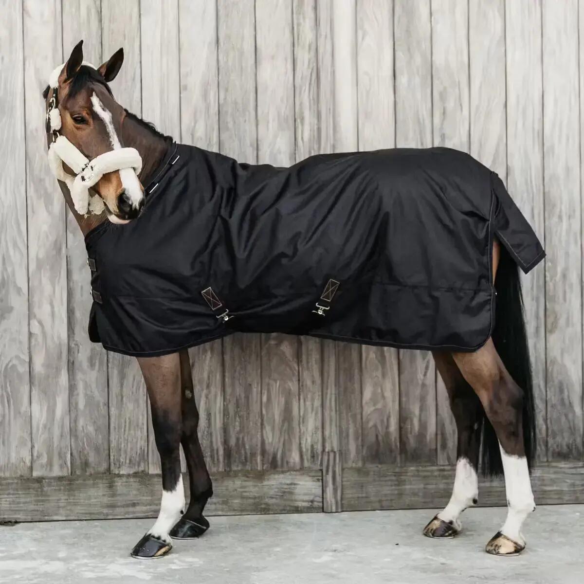 Buitendekens voor paarden, seizoensgebonden en waterdicht Kentucky Horsewear Pro 2/6