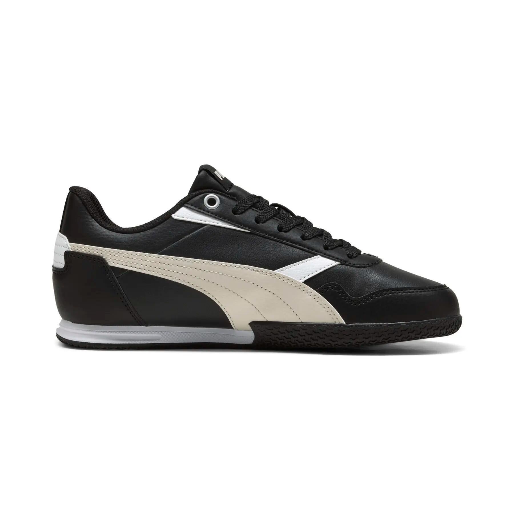 PUMA picture