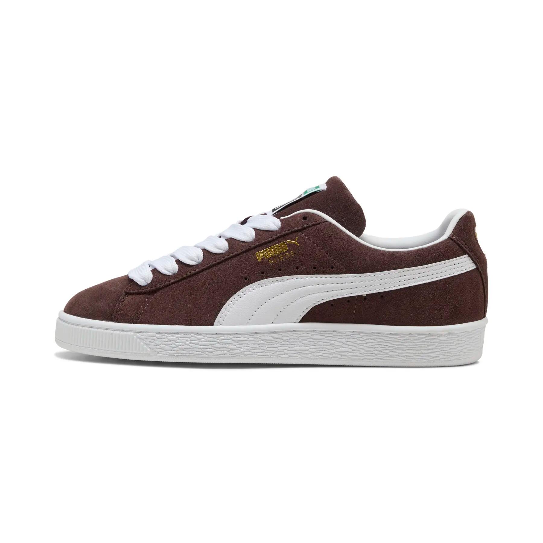 PUMA picture