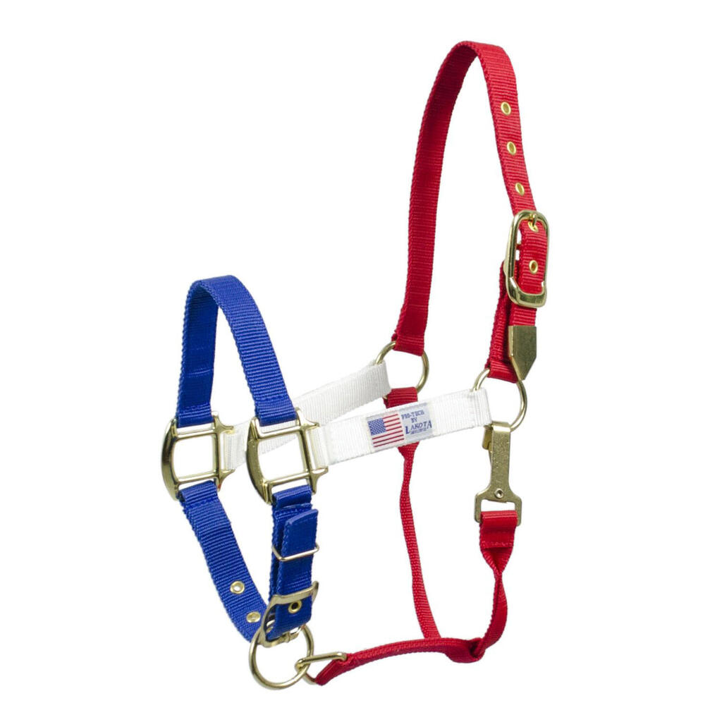 Nylon halter usa colors