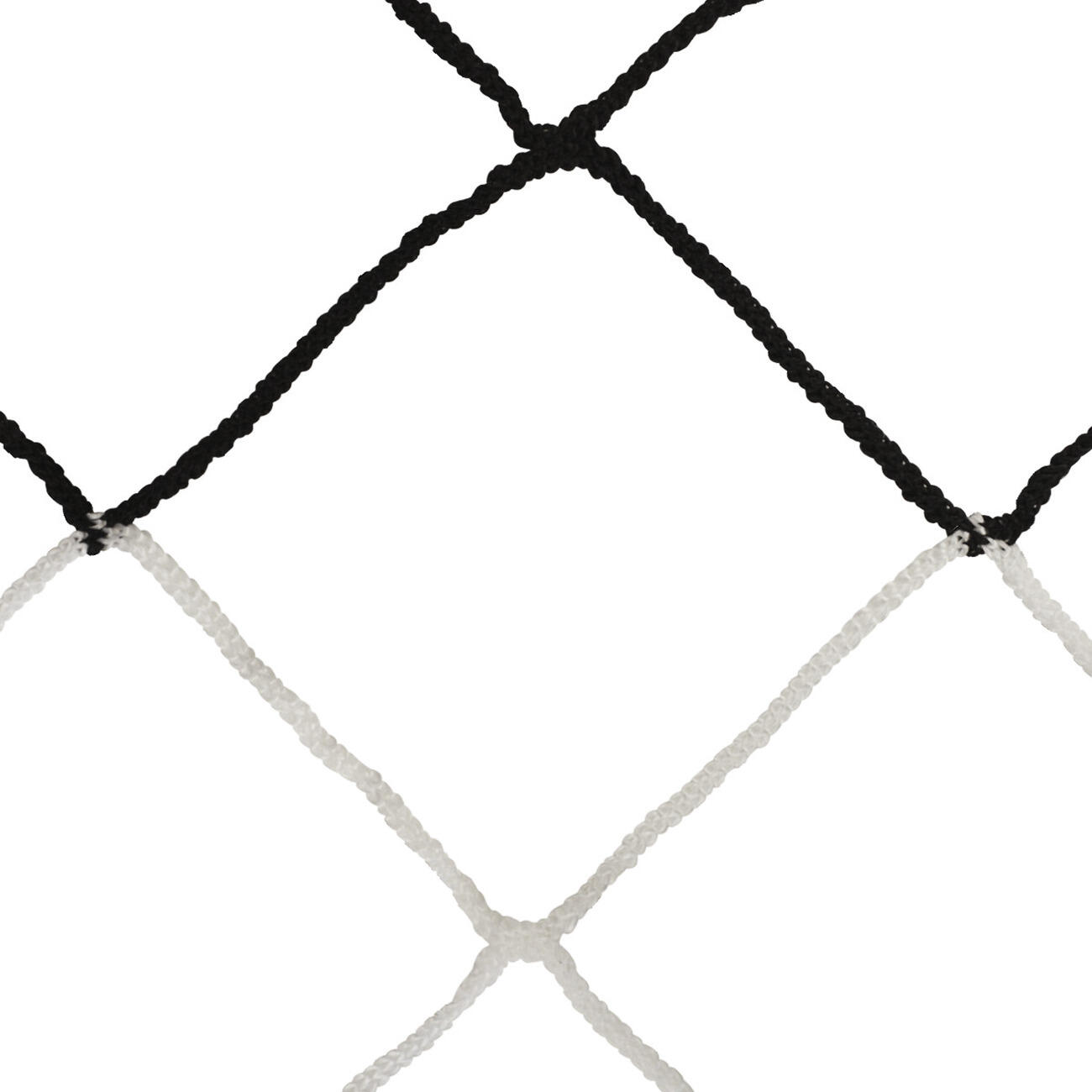 SPORTI FRANCE picture