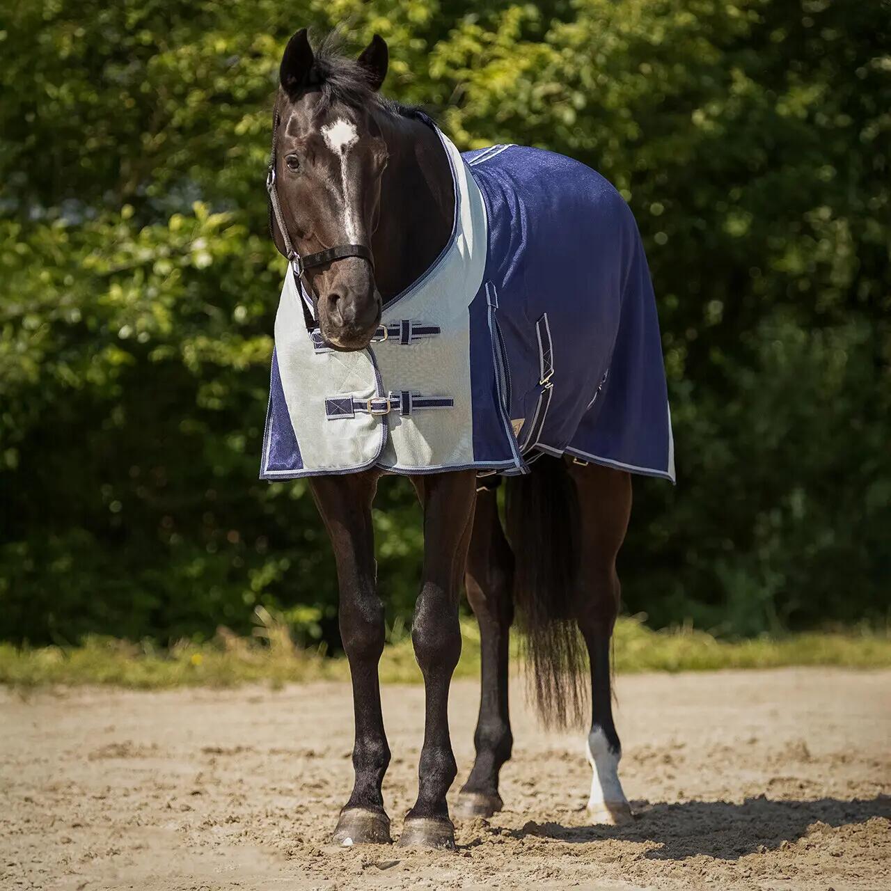 Manta de Mosca de Cavalo QHP 2/6