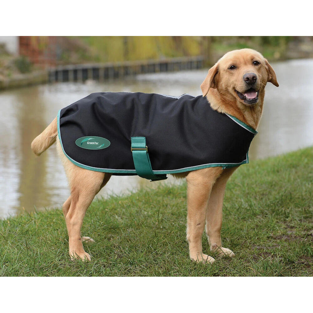 Cappottino per cani Weatherbeeta Green-Tec Lite Plus 2/2