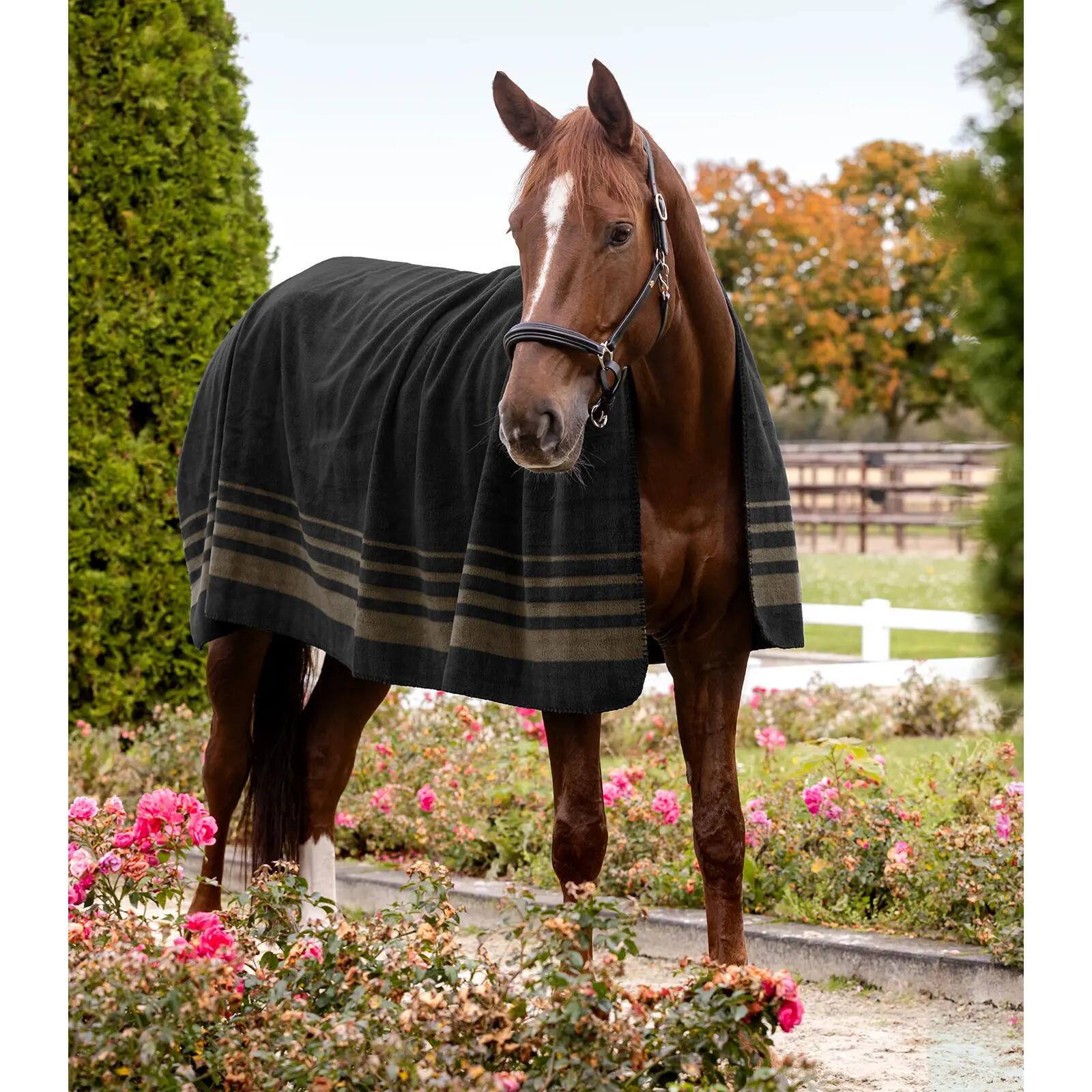Manta polar gruesa para caballos Waldhausen Sölden 3/3