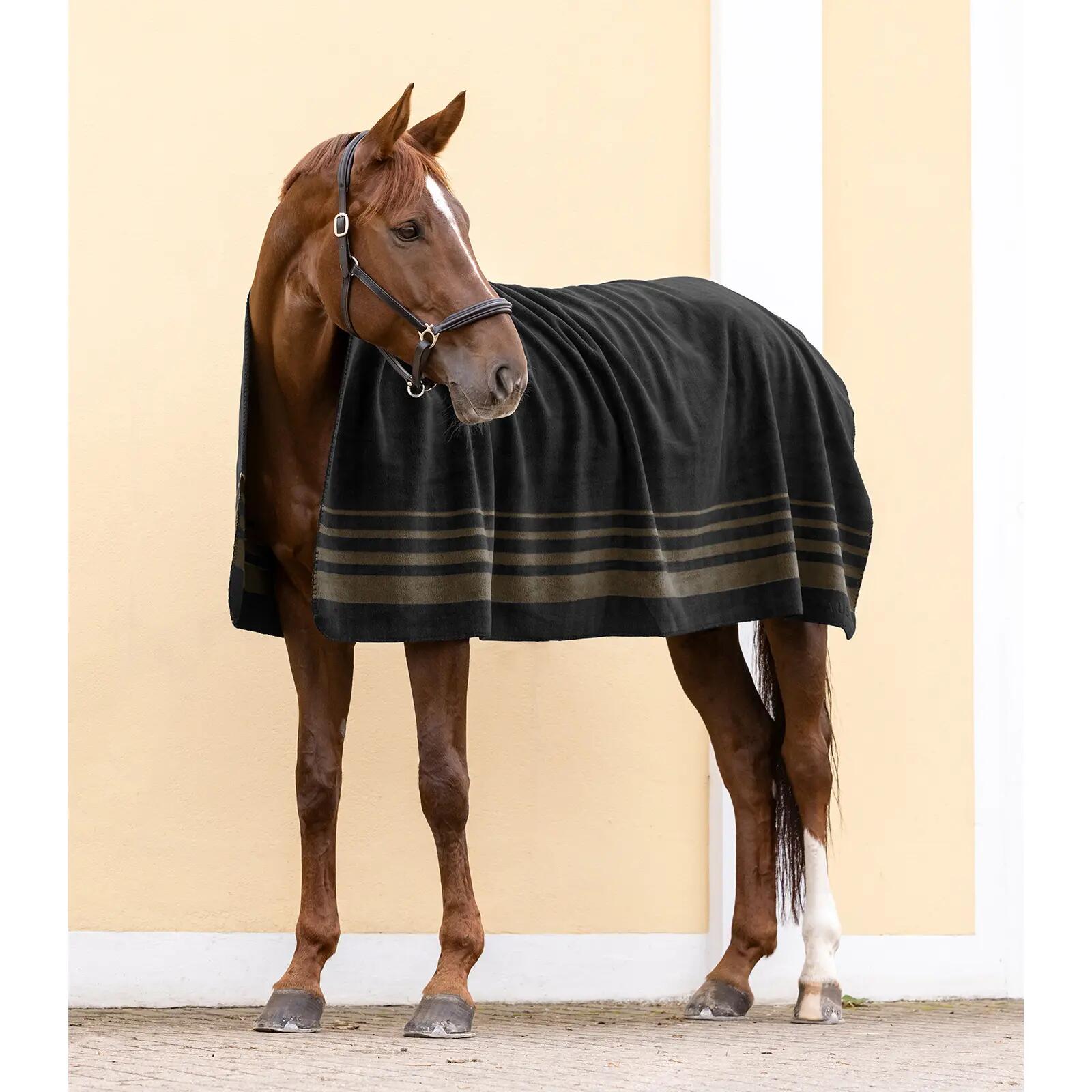 Manta polar gruesa para caballos Waldhausen Sölden 2/3