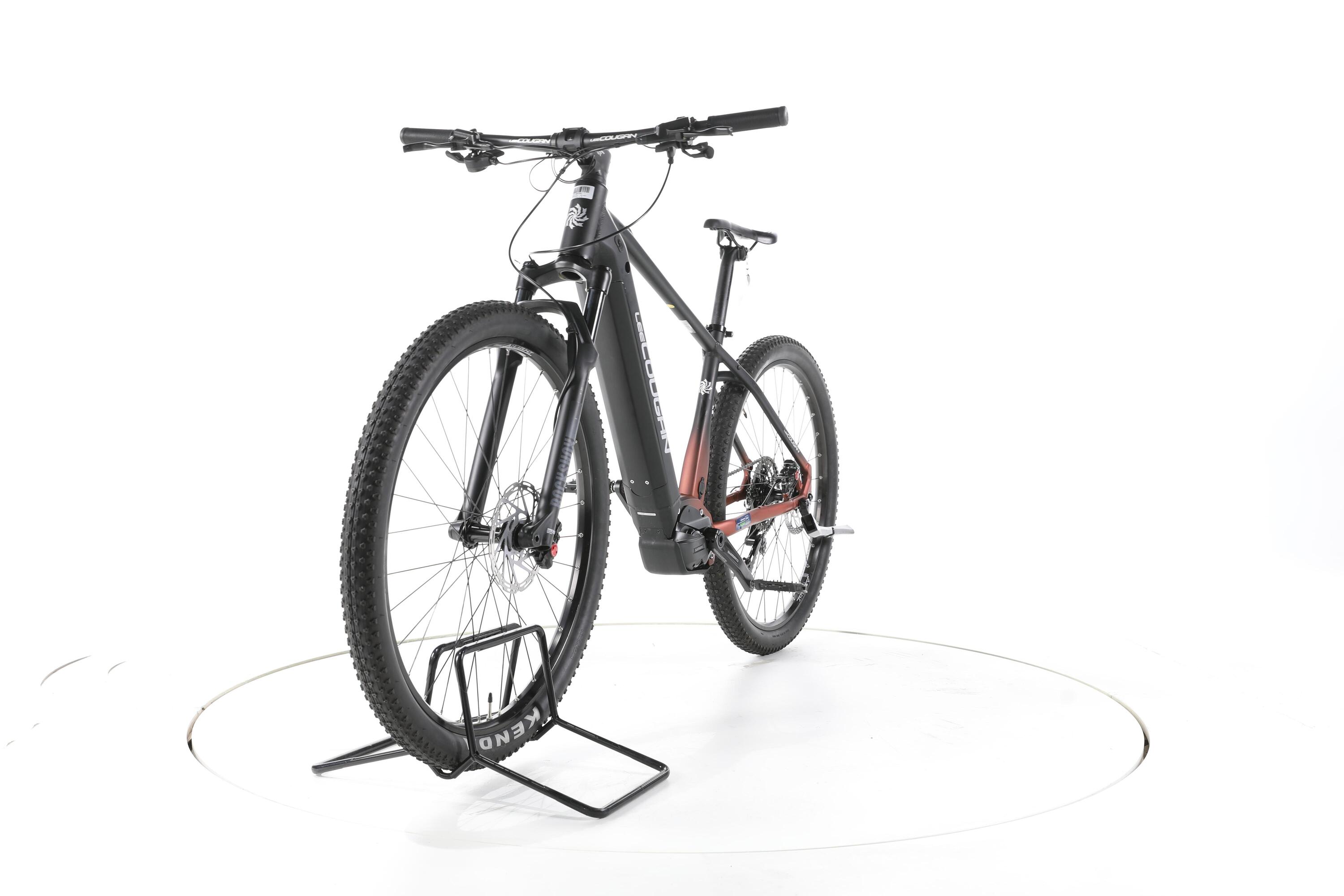 Ebike ricondizionata · Lee Cougan E-Edge · Buone condizioni 4/7