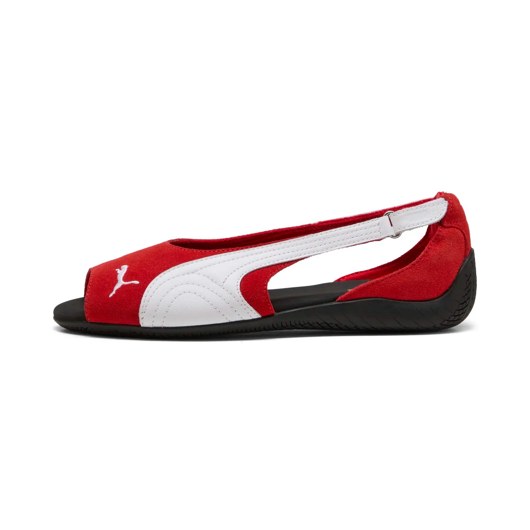 PUMA picture