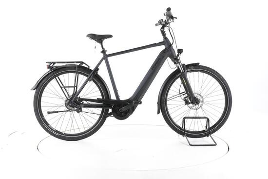 Ebike ricondizionata · Pegasus Premio Evo 5R Belt · Buone condizioni