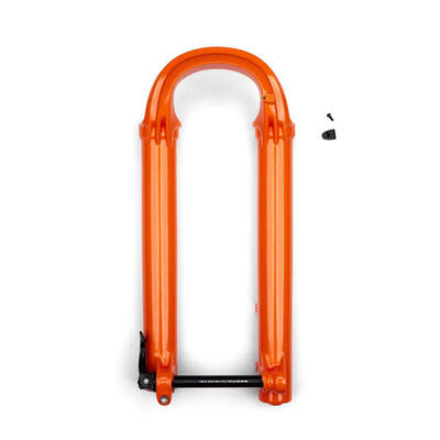 Cartuccia dell'ammortizzatore Fox Factory 2021 Fox 36 F-S PE-S