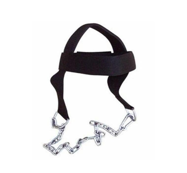 Morgan Headlifting Belt