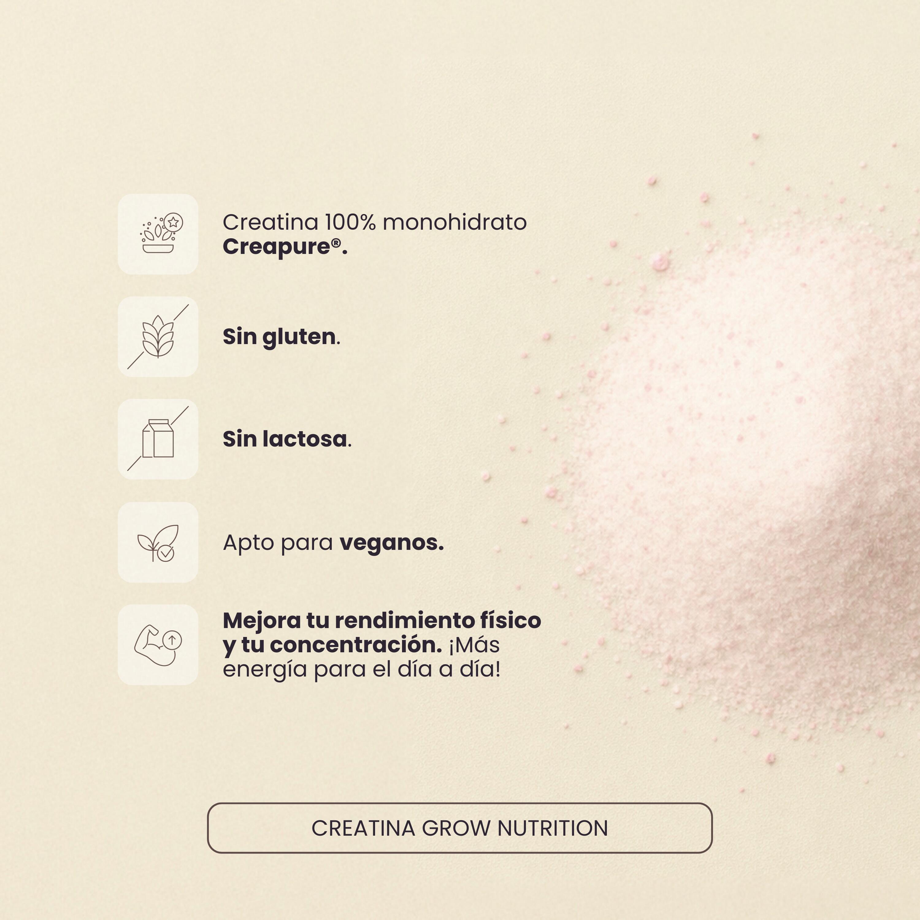 Creatina Creapure® Monodosis Sandía-Melón- Pack (10 sticks) 2/4
