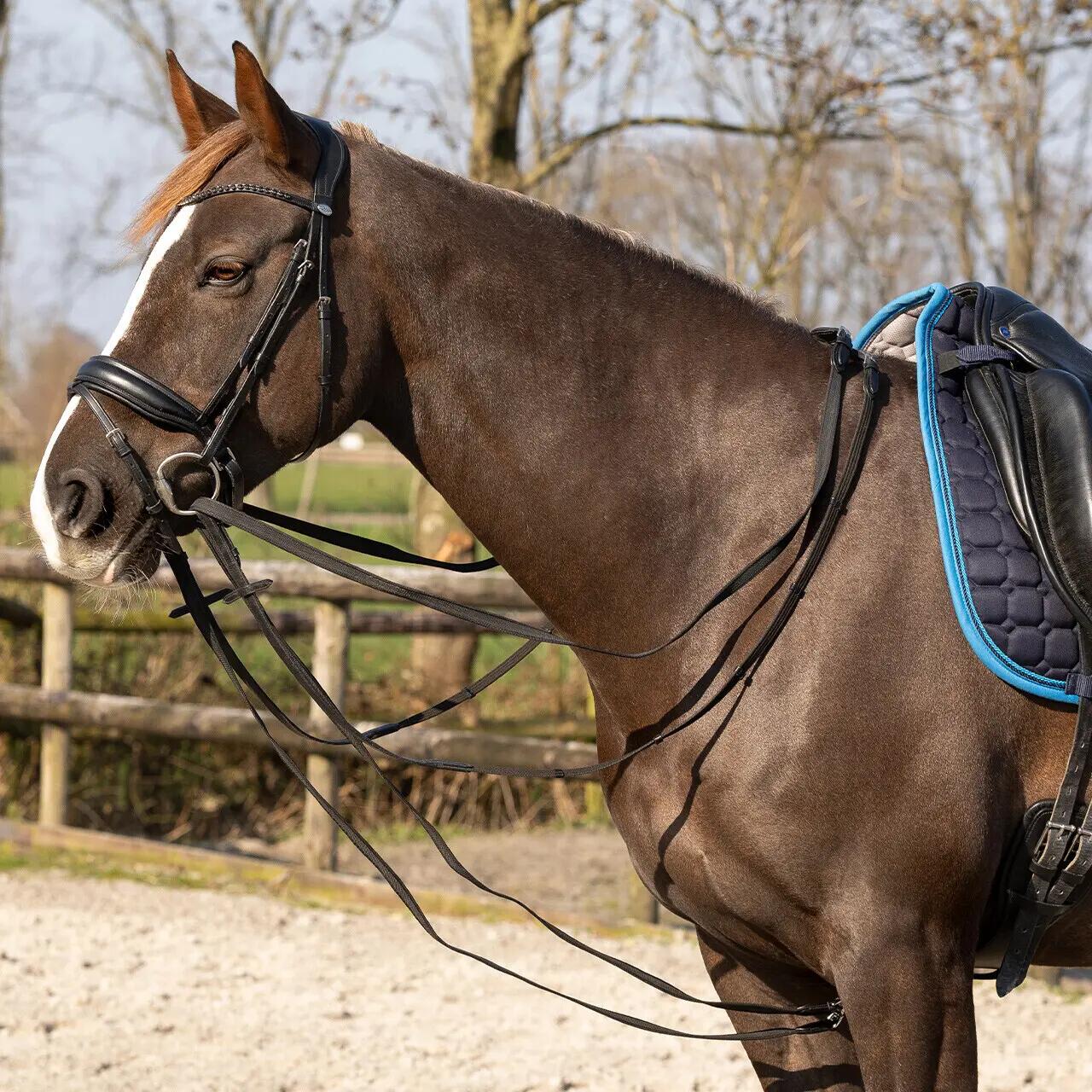 Anti-Rutsch Zügel QHP Basic Pro 2/5