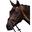 Bridon Premier Equine Rivere cu design anatomical