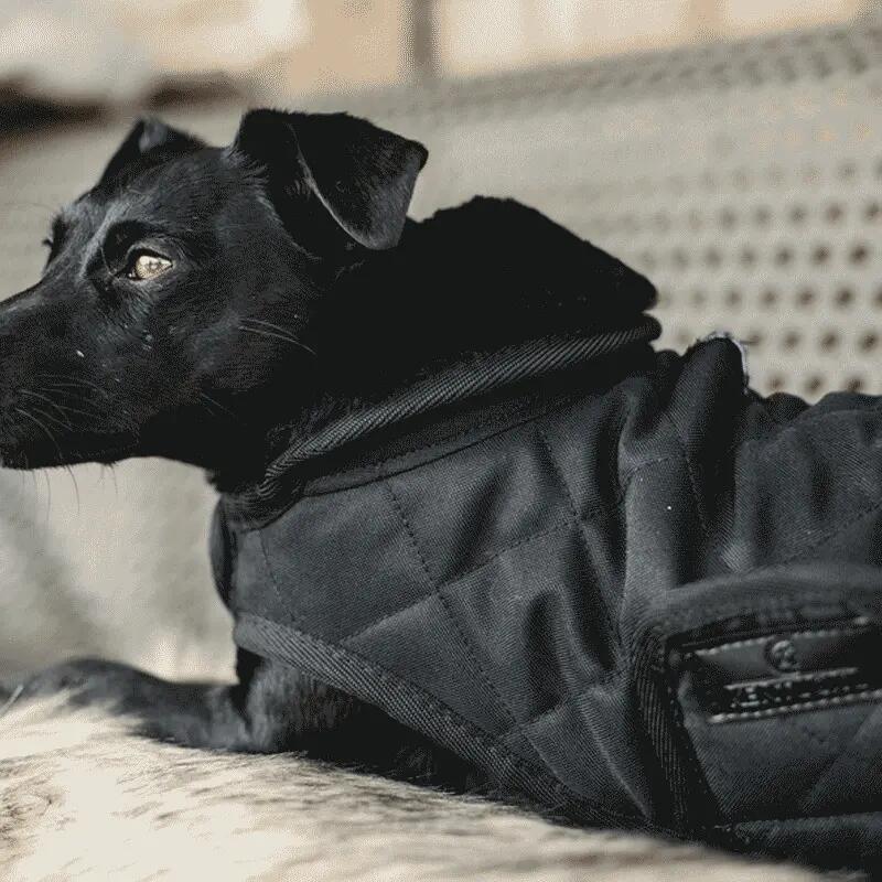 Hundemantel Kentucky Original 160g 3/3