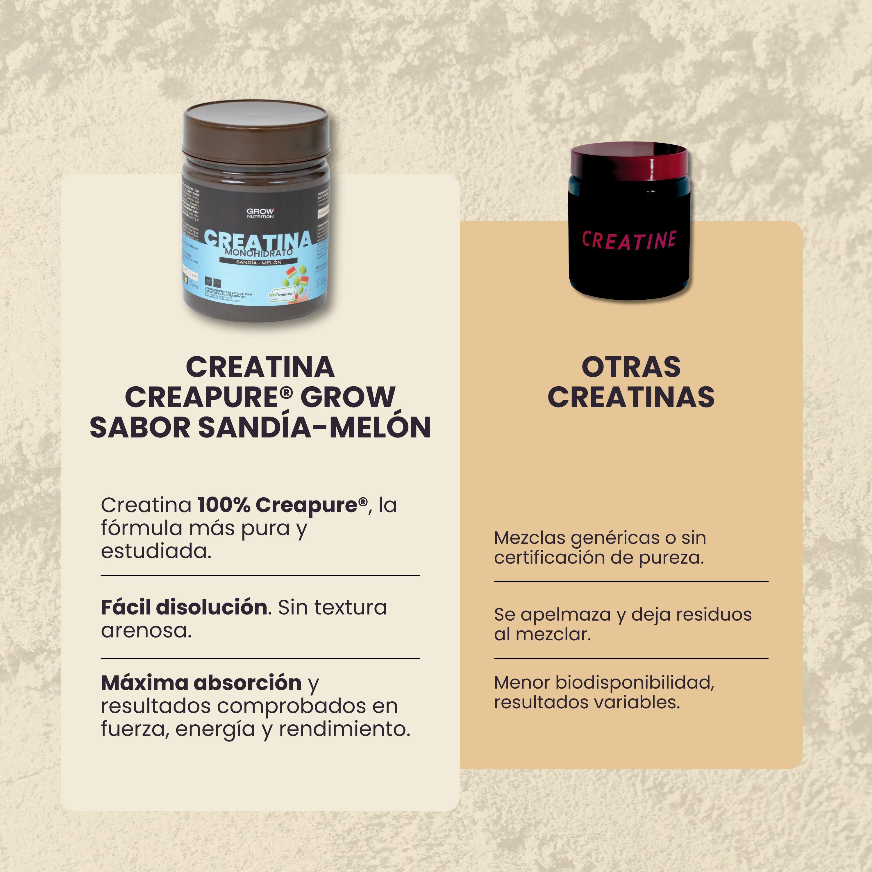 Creatina Monohidrato Creapure® 4/5