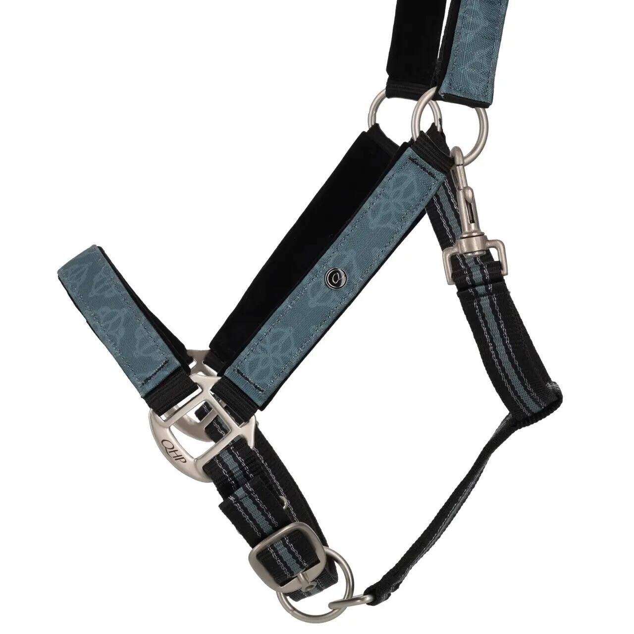 Ensemble licol et longe pour cheval QHP 2/4