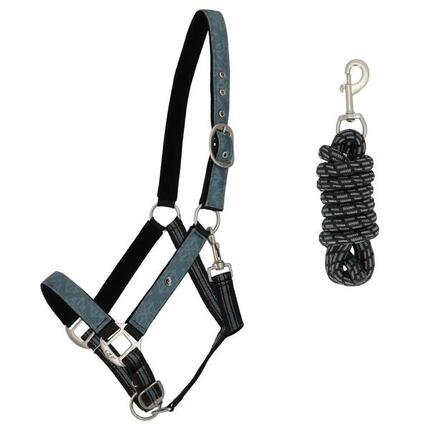 Ensemble licol et longe pour cheval QHP