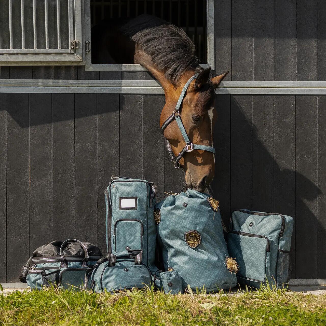Ensemble licol et longe pour cheval QHP 4/4